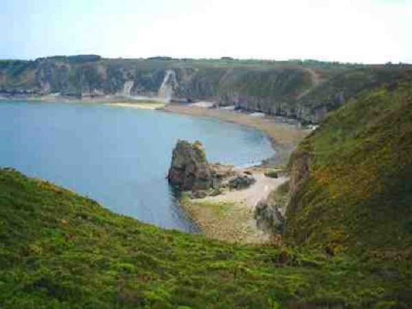 Falaise Cap Fréhel - Plévenon