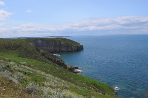 Acantilado de Cap-Fréhel 